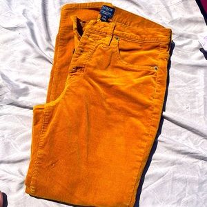 J Crew womens cords ankle length straight leg, size EURO 29, button fly